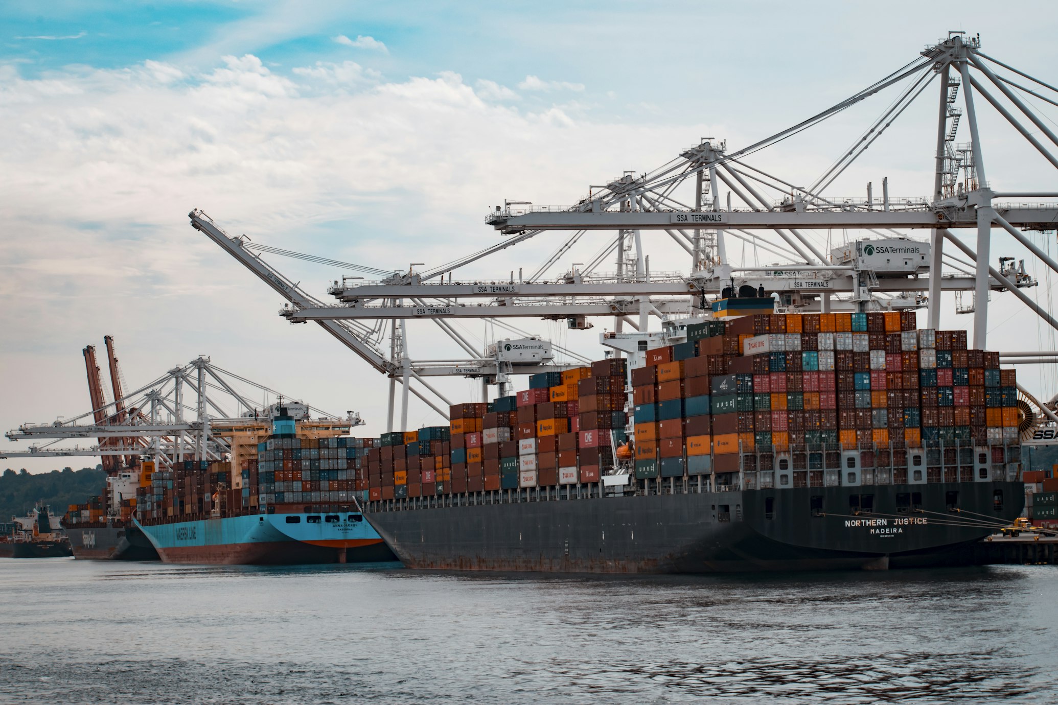 Biosecurity Port Inspection
